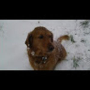 Meet your Posher, Tremblay